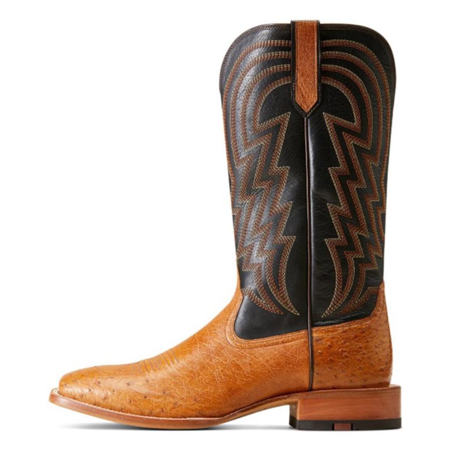 hfayb0cj65rdx9k