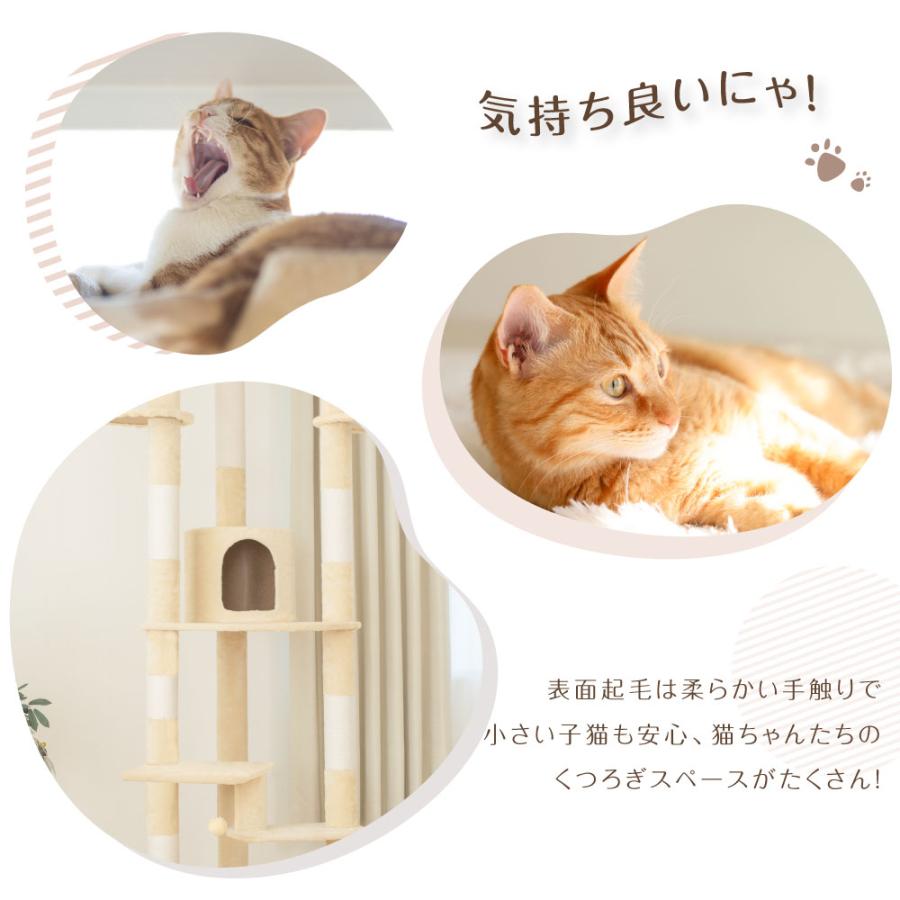 キャットタワー 突っ張り 全高229～257cm スリム 多頭 宇宙船 大型猫 キャットタワー 突っ張り スリム 透明宇宙船 猫タワー 多頭飼い 爪とぎ