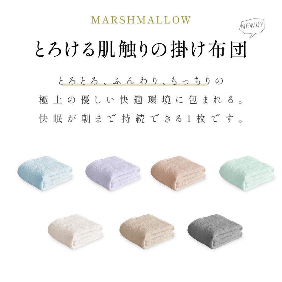 初夏限定2580円 肌掛け布団 夏布団 布団 掛け布団 冷感 夏用 肌布団