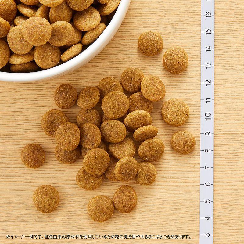 メルカリ便無料 ニュートロ ナチュラルチョイス 成犬用 大型 チキン
