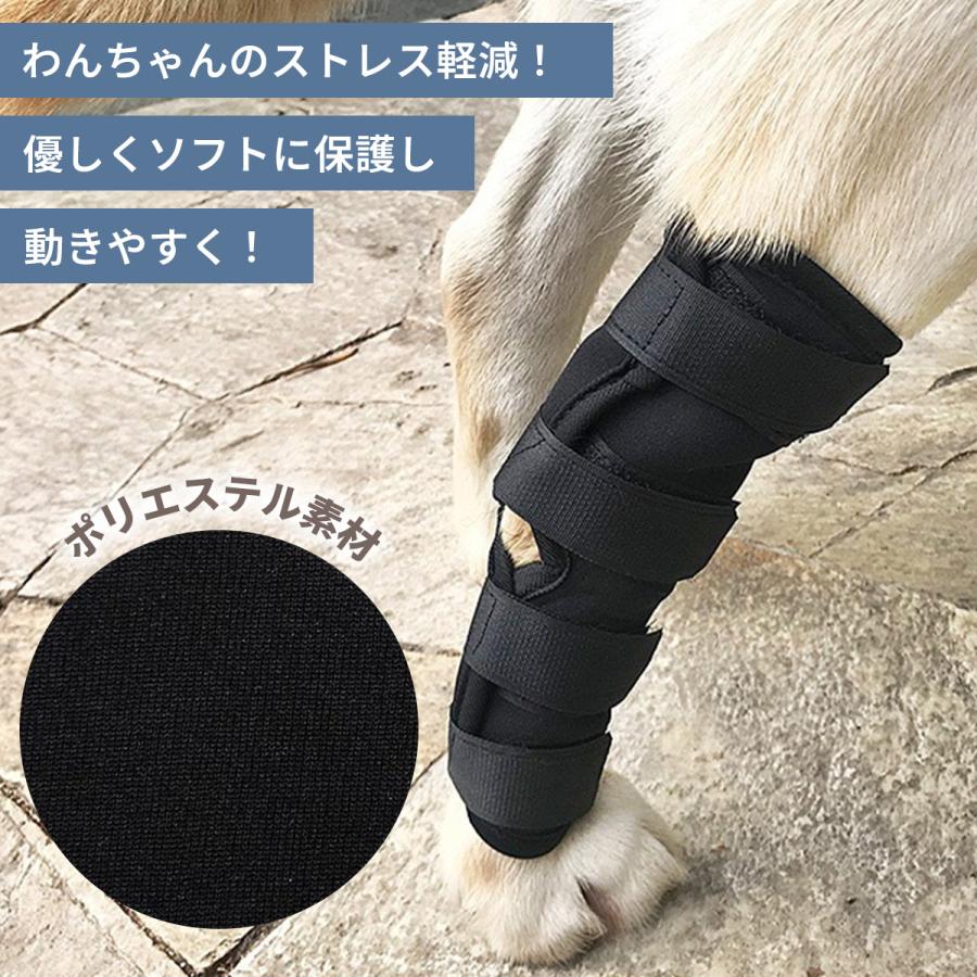 骨折 脱臼 4版 ほぼ新品 送料無料