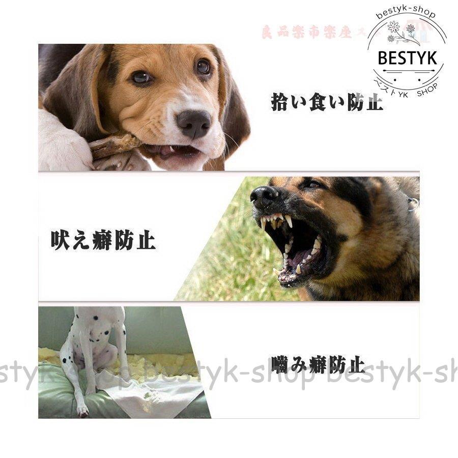 当店オススメ 犬 アヒルの口のマスク３点セット 噛み癖防止 拾い食い防止 犬用マスク アヒル口のマスク ペット用マスク３点セット Mfbldbnsqp ペット用品 生き物 Sprintmart Com