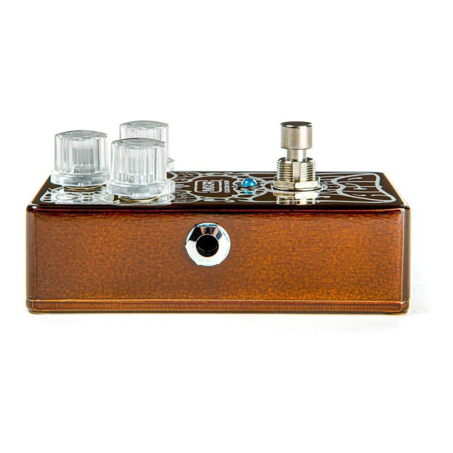 MXR CSP038 Brown Acid エフェクター CSP-038 / BROWN ACID FUZZ Limited【国内正規品】 MXR 【エフェクター