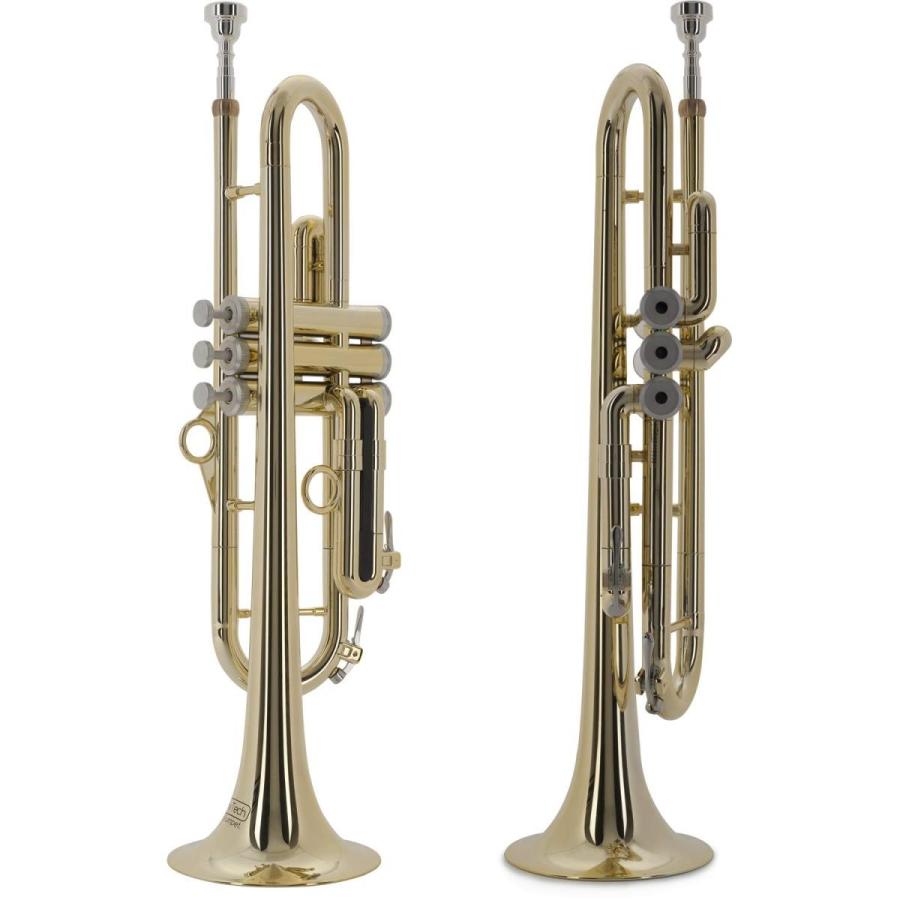 Pinstruments Ptrumpet Hytechシリーズ Ptrumpet1htg Gold プラスチック製トランペット 22年のクリスマス