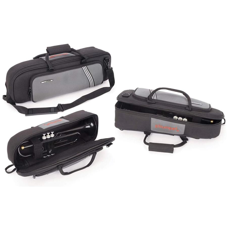 PTRUMPET1HTG / pTrumpet hyTech ゴールド プラスチック製管楽器 