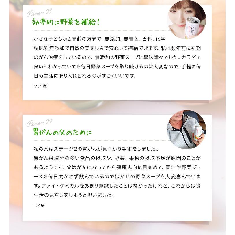 はかせの野菜スープ 185g×30袋 7種の国産野菜 無添加 野菜のみのやさしい自然な味 ギフト セット 長期保存 無着色 無香料 簡単 レトルトスープ ベータ食品 | ブランド登録なし | 10