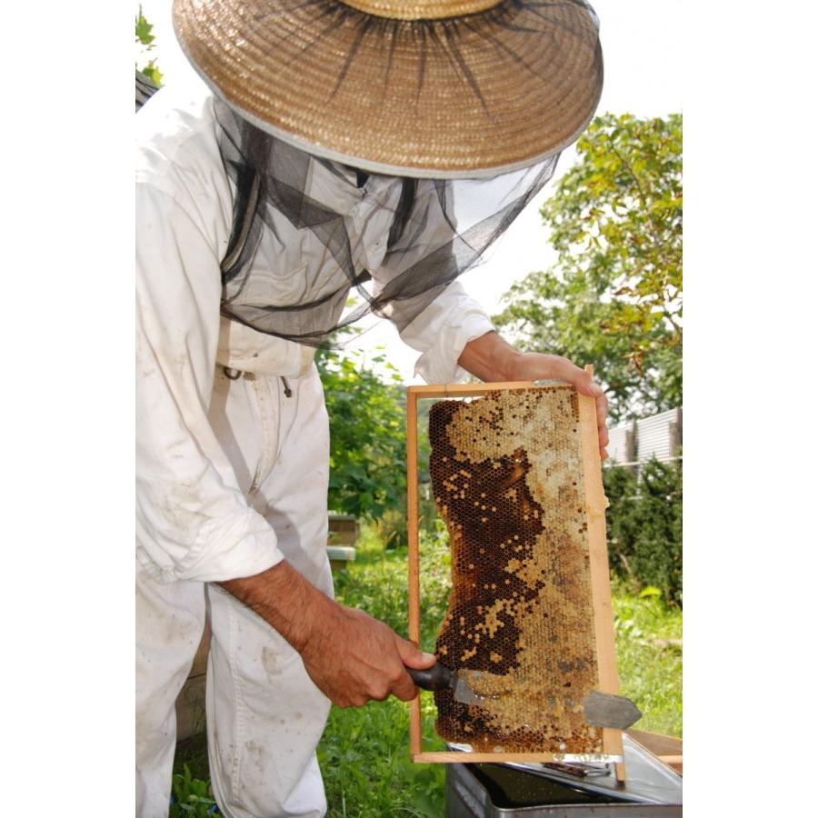 日本蜜蜂 古式養蜂の蜜 150g×2個セット はちみつ 栄養たっぷり