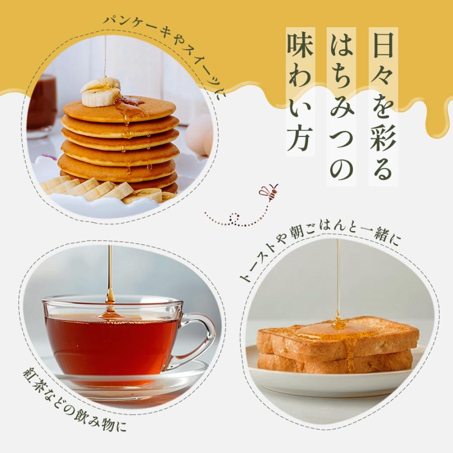 はちみつ 日本蜜蜂の蜂蜜 たれみつ （550g） 日本ミツバチ 日本製  ギフト 日本ミツバチの蜂蜜 藤原養蜂場 爆買 | 藤原養蜂場 | 03