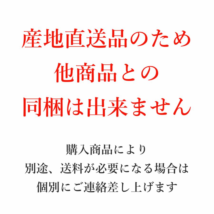 小川の庄 おぶっこ 2人前 冷凍 小川村の郷土食＜産地直送＞ 郷土食 食品 スローフード  冷凍食品 | 小川の庄 | 02