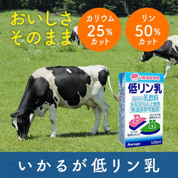 低リン乳 125ml×24本入り 低リンミルク 低カリウム いかるが牛乳 | ブランド登録なし | 01