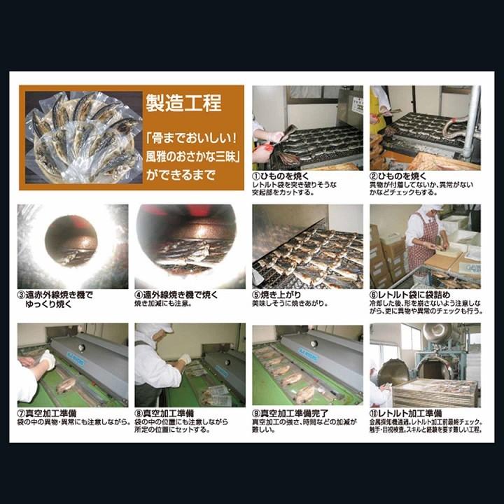 干物セット お試し 風雅のおさかな三昧 3枚入 アジ サンマ ホッケ 調理済み おかず 魚 ひもの ポイント消化 メール便 [M便 1/1] お試し商品 サンプル | ブランド登録なし | 06