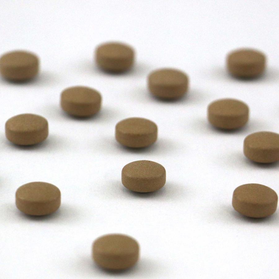 しじみの入った牡蠣ウコン肝臓エキス 120粒 ウコン 粒 サプリ メール便  [M便 1/4] ポイント消化 井藤漢方製薬 | 井藤漢方製薬 | 02