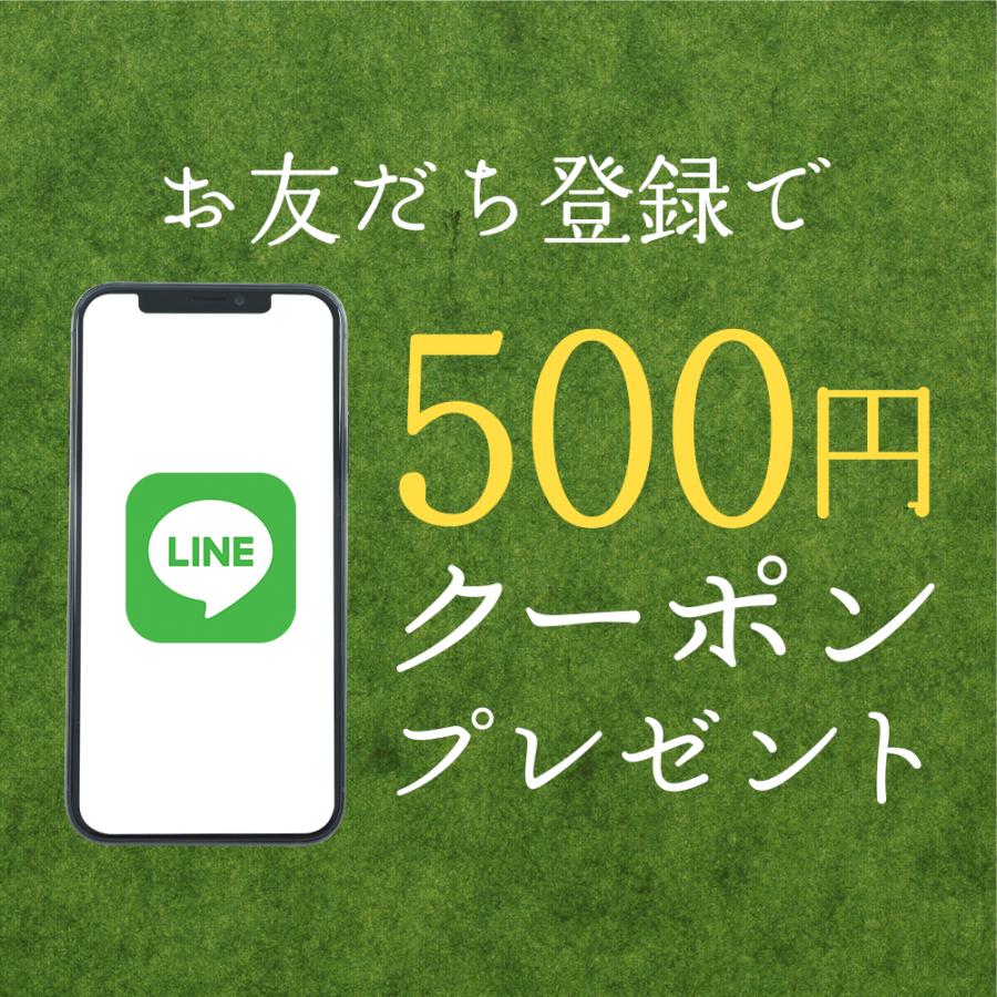 井藤漢方製薬　オオバコダイエット　500g×2袋セット　粉末タイプ