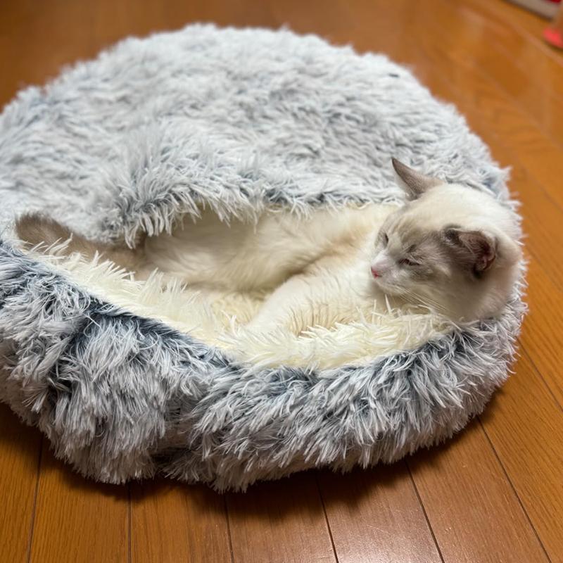 即納 猫 ベッド ドーム型 冬 猫ベッド ねこ ねこべや 猫用 洗濯