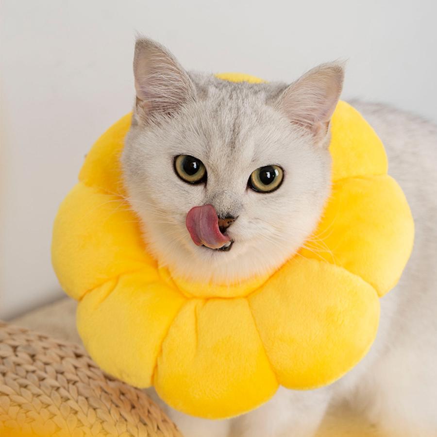 エリザベスカラー 猫 犬 ソフト 術後服 カラフル 犬用カラー ペット用