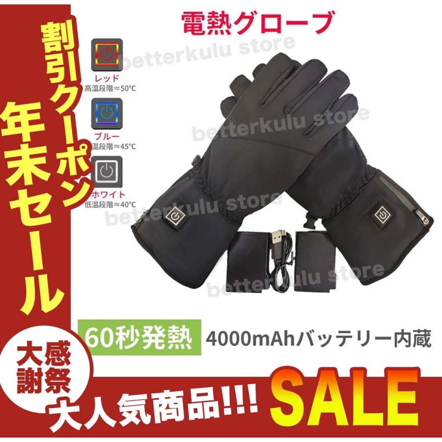 電熱手袋 電熱グローブ 防寒対策 裏起毛 防風 冬用 USB充電式 バッテリー付き 3段階温度調節 ヒーター内蔵 10時間連続稼働 タッチパネル対応 バイク用 男女兼用 好評受付中 電熱手袋 電熱グローブ 防寒対策 裏起毛 防風 冬用 USB充電式 バッテリー付き 3段階温度調節 ヒーター内蔵 10時間連続稼働 タッチパネル対応 バイク用 男女兼用 好評受付中