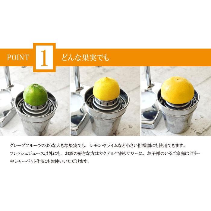 送料無料】手絞りの美味しい生ジュースが作れる!ハンドジューサーA型