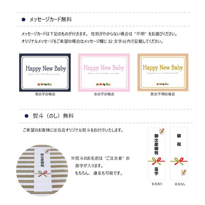 はじめての肌へのいちばん 完全包装 パンパース 新生児 Sサイズ M 