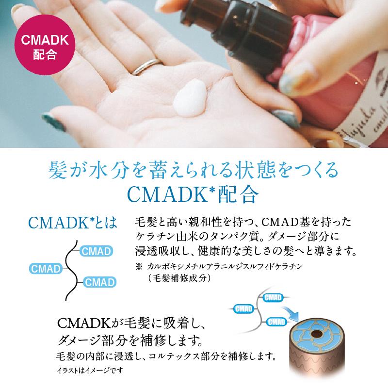 MILBON（ミルボン） ディーセス エルジューダ エマルジョン+ 120g