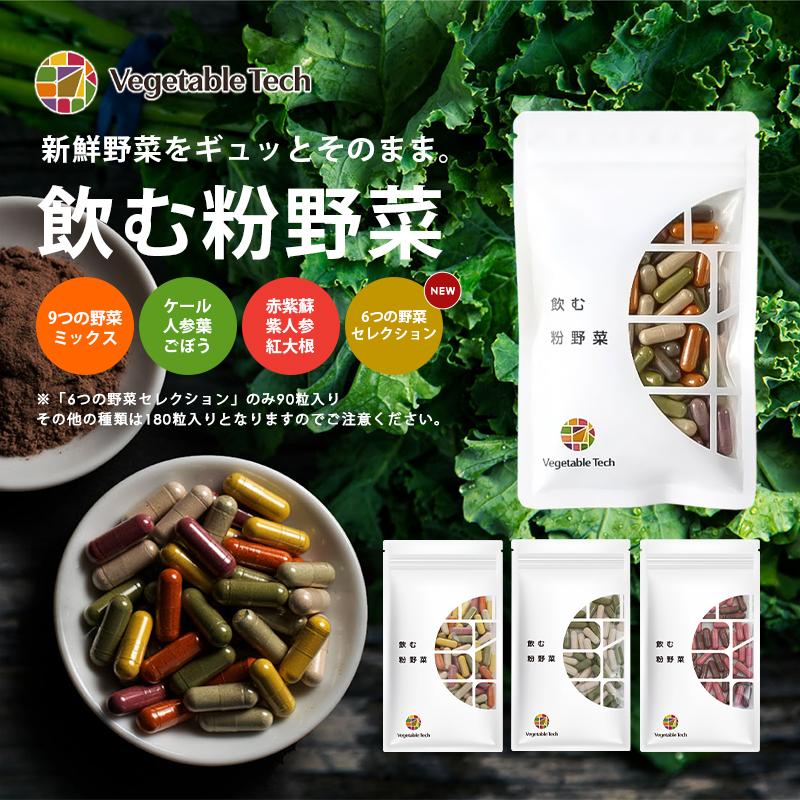 飲む粉野菜 9つの野菜ミックス サプリ 野菜サプリ 野菜不足 美容 健康 