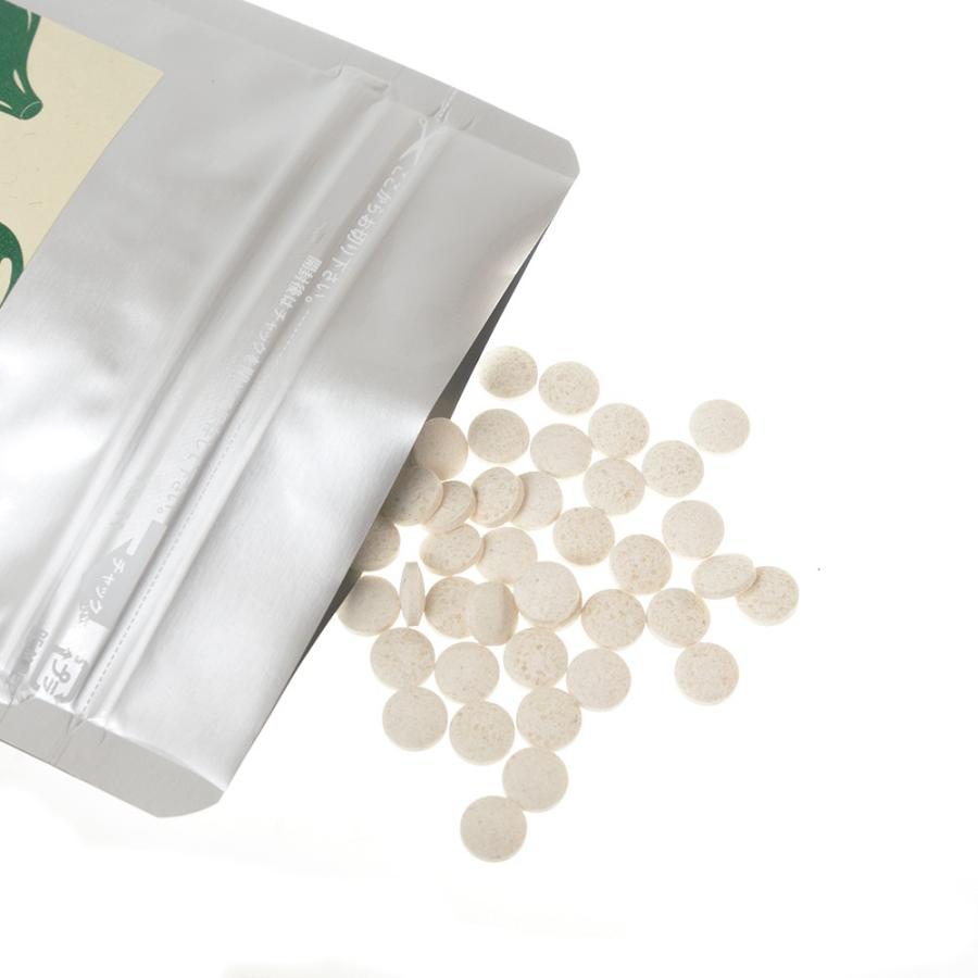 Adan(アーダン) 国産シルクサプリ 日本製 アクティブキープ 160ｇ×２個セット 絹から生まれたサプリメント シルク 寒天 白ゴマ ニンニク |  | 02