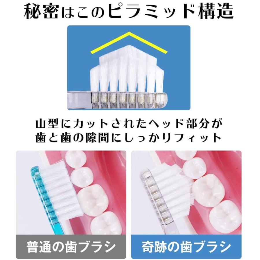 値引きする 奇跡の歯ブラシ イエロー 大人用 ３本セット 本数変更可