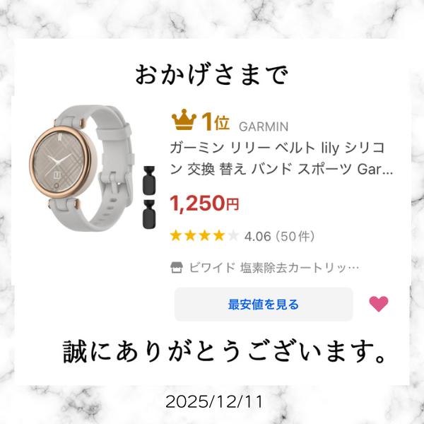GARMIN（ガーミン） リリー ベルト garmin lily Classic バンド