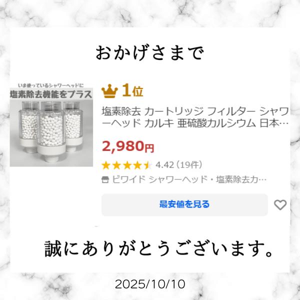 塩素除去 シャワーヘッド カートリッジ カルキ フィルター 日本製 Ver
