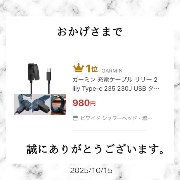 GARMIN（ガーミン） リリー 2 lily 充電ケーブル 235J 230 クリップ 