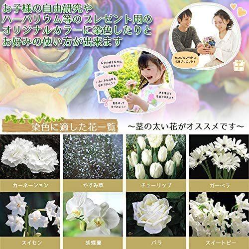 フラワーパレット 切り花染色剤 自由研究 フラワーアレンジメント プレゼント 6色セット Be B019rgl3dk 腕時計もbewide ビワイド 通販 Yahoo ショッピング