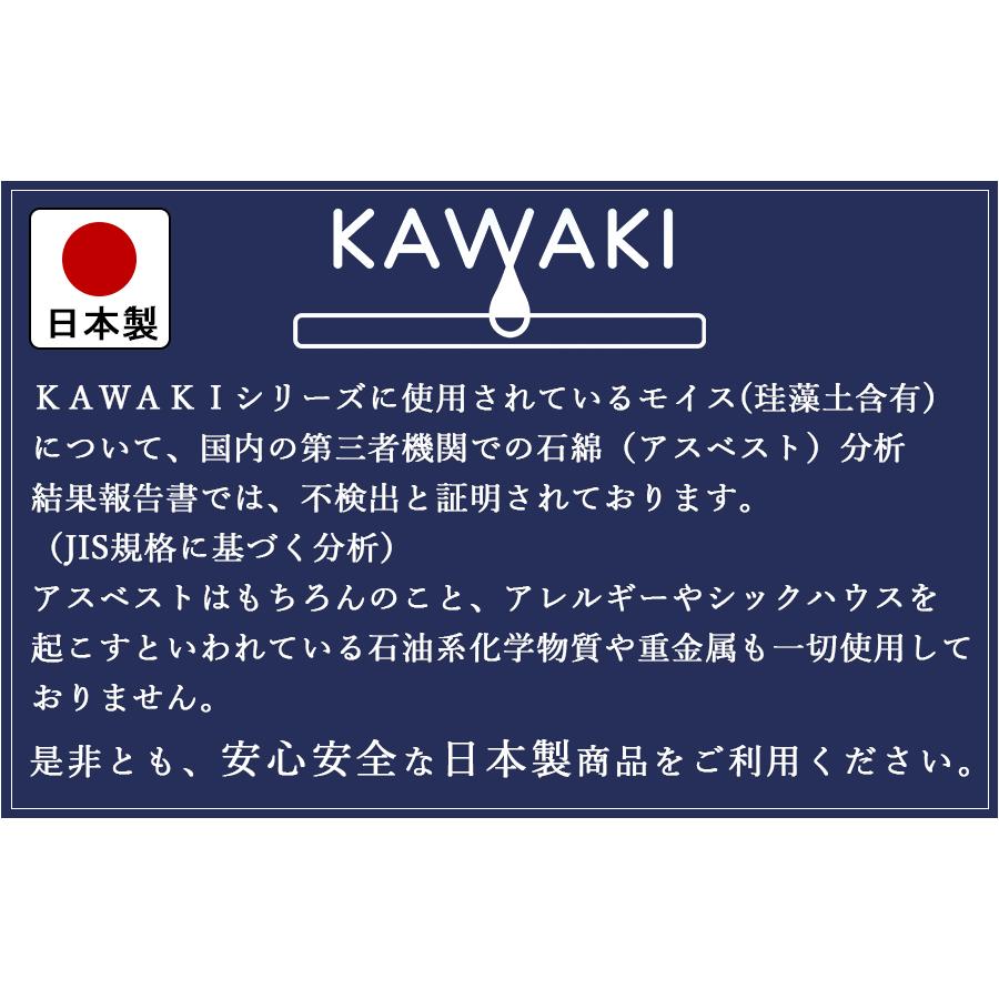 モイス バスマット L サイズ KAWAKI 珪藻土 含有 バス マット 足拭きマット お風呂 日本製 燕三条製 送料無料｜beworth-shop｜02