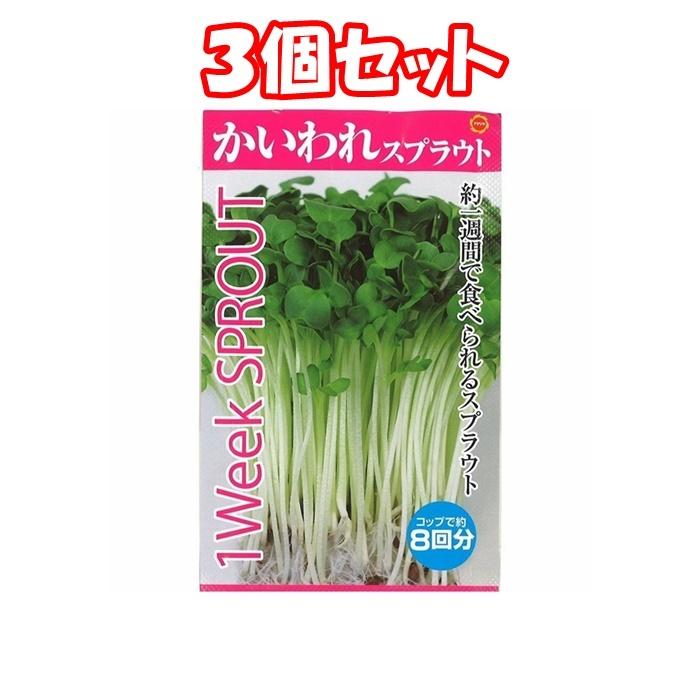 最大90 Offクーポン スプラウト種子 S 06 ルビーかいわれ大根 10ml