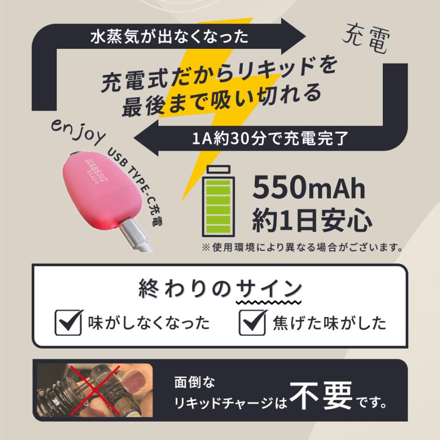 ICEBERG Dispo 使い捨て 電子タバコ ベイプ 強メンソール ペパーミント ピーチ 桃 レモン 持ち運び 充電式 ニコチン タール0 コンパクト 持ち運びシーシャ |  | 13