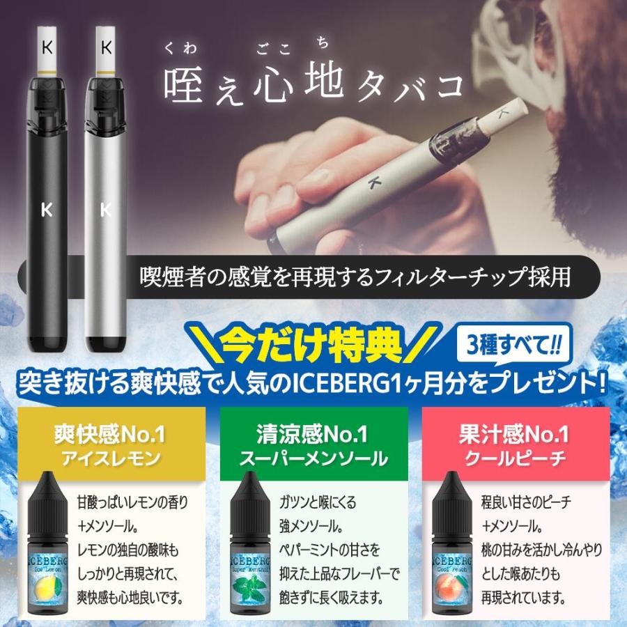 KIWI Pen コンプリートセット これを買えば完結！全部入りセット フィルターチップで加熱式タバコ感覚を再現［世界55ヵ国展開中］咥え心地タバコ 日本総代理店 |  | 02