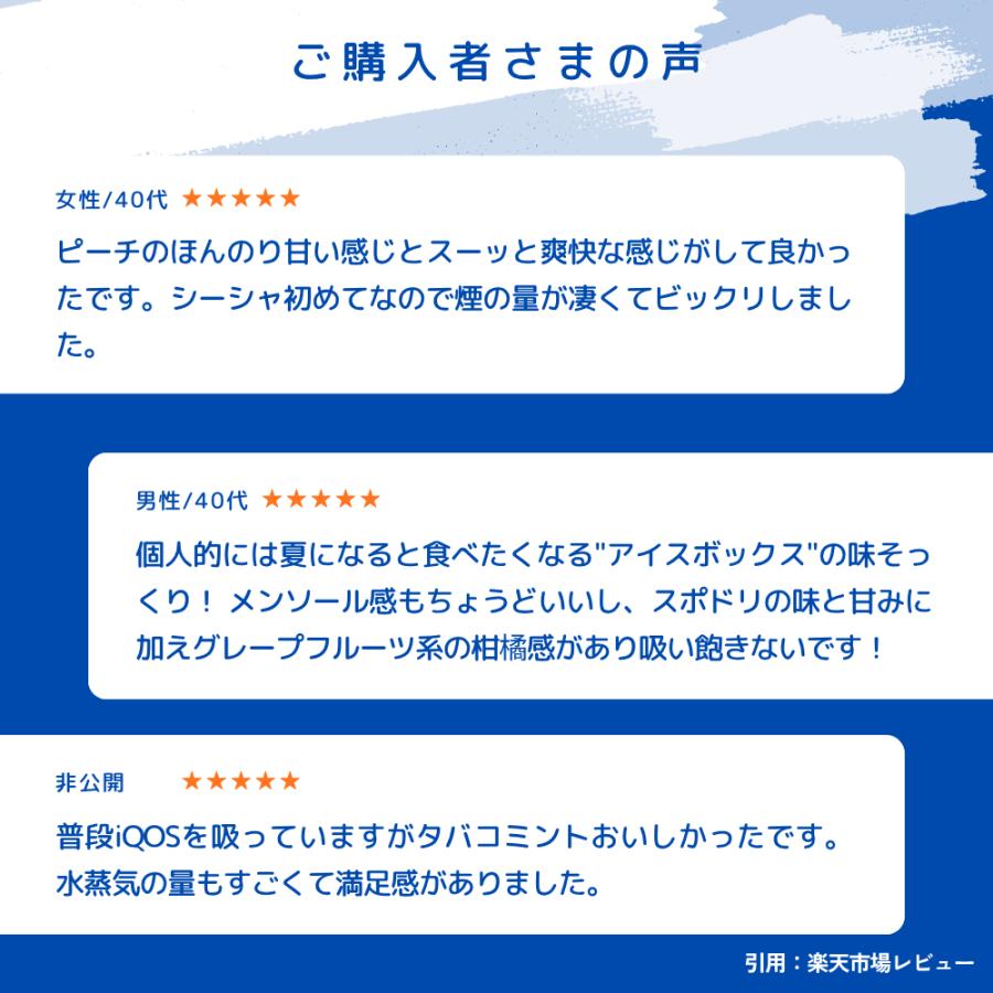 持ち運びシーシャ ICEBERG mini 使い捨て 電子タバコ ベイプ VAPE