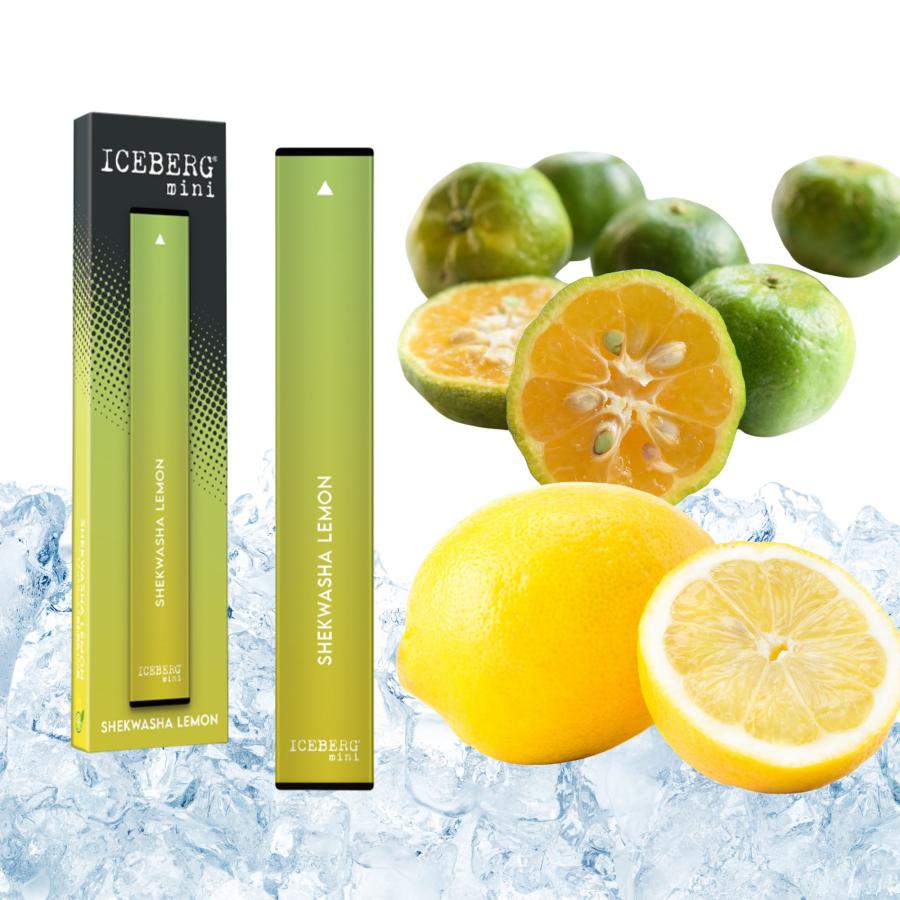 【ICEBERG mini】コンパクトで充電の必要もない［使い捨てシーシャ］が登場 / 400パフ（アイスバーグミニ） |  | 07