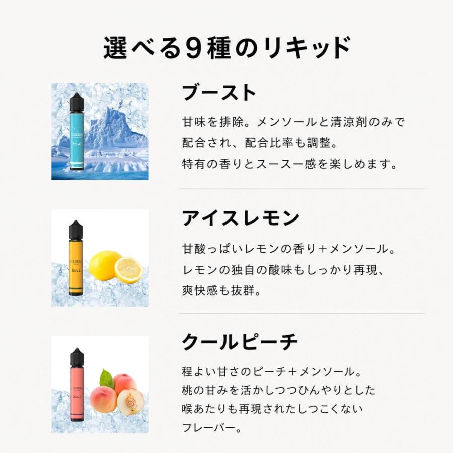 電子タバコ KIWI Spark 本体 日本初上陸 選べる30mlリキッド付き スターターキット シーシャ 持ち運び ベイプ VAPE ニコチン0 タール0 日本正規代理店 |  | 11