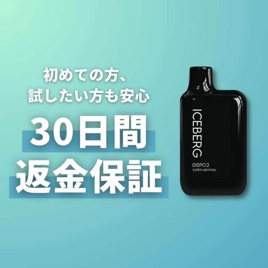 電子タバコ 全額返金保証付き ICEBERG Dispo2 国産 日本製 リキッド 本体 VAPE ベイプ シーシャ ニコパフ 爆買 | ICEBERG | 19