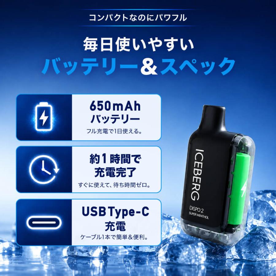 電子タバコ 全額返金保証付き ICEBERG Dispo2 国産 日本製 リキッド 本体 VAPE ベイプ シーシャ ニコパフ 爆買 | ICEBERG | 12