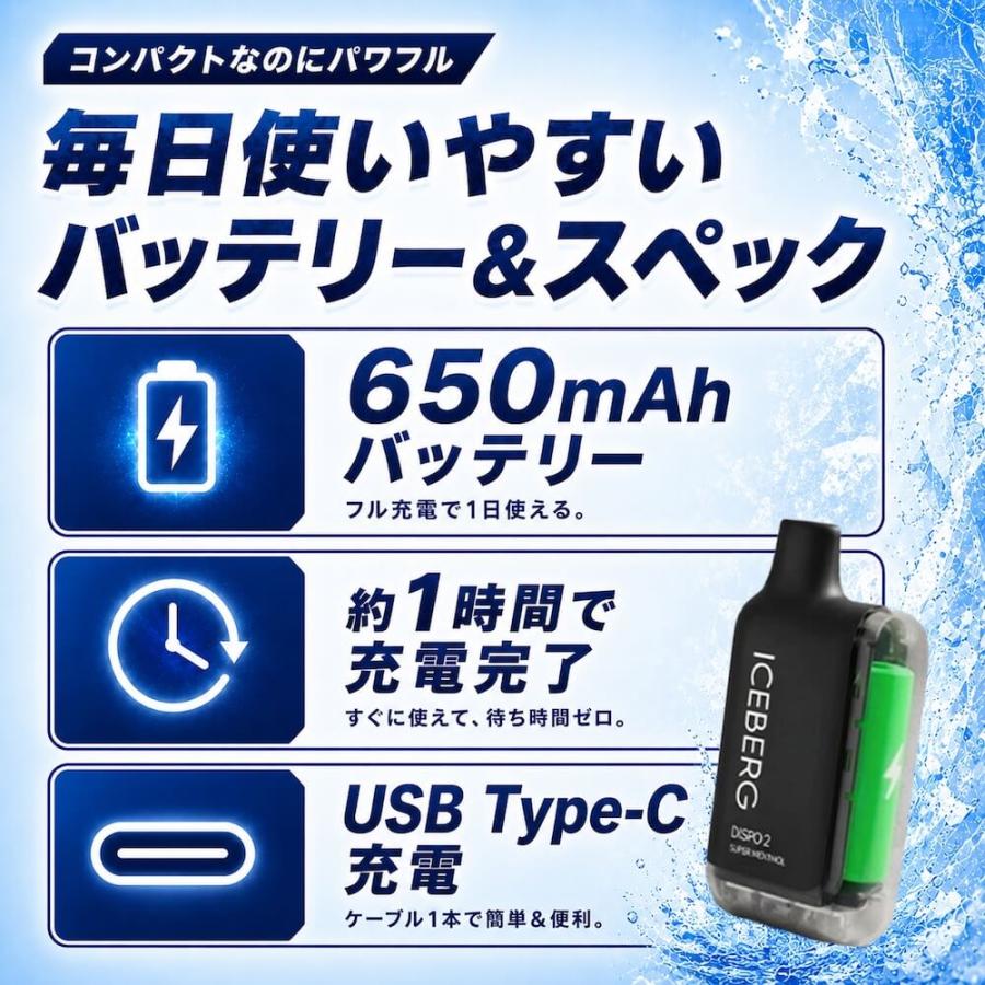 ICEBERG Dispo2 カートリッジ アイスバーグディスポ2 国産 禁煙 減煙 まとめ買い おすすめ 電子タバコ VAPE ベイプ 爆買 |  | 15