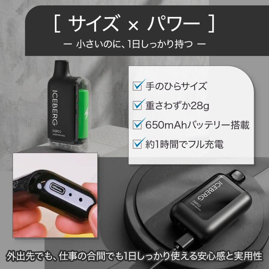 【ICEBERG Dispo2】カートリッジ［使い捨てタイプ］アイスバーグディスポ2［公式］禁煙 減煙 まとめ買い おすすめ タール ニコチン0  電子タバコ VAPE ベイプ |  | 07