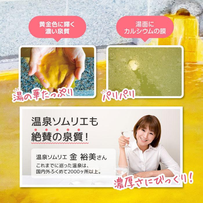 【お試しセット】Be You オールインワンミルク オールインワンUVミルク ハンドクリーム フェイシャルウォッシュ ホットクレンジング サンプル 無添加 温泉 |  | 16