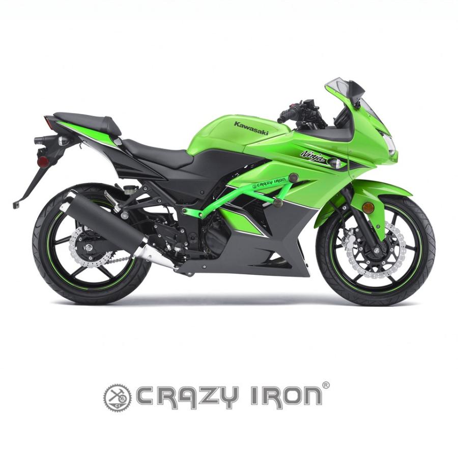 カワサキ　ニンジャ250R ジムカーナ　ストリートファイター　カスタム　値下げ カワサキ NINJA ニンジャ 250R 2008-2012 クラッシュバー エンジン
