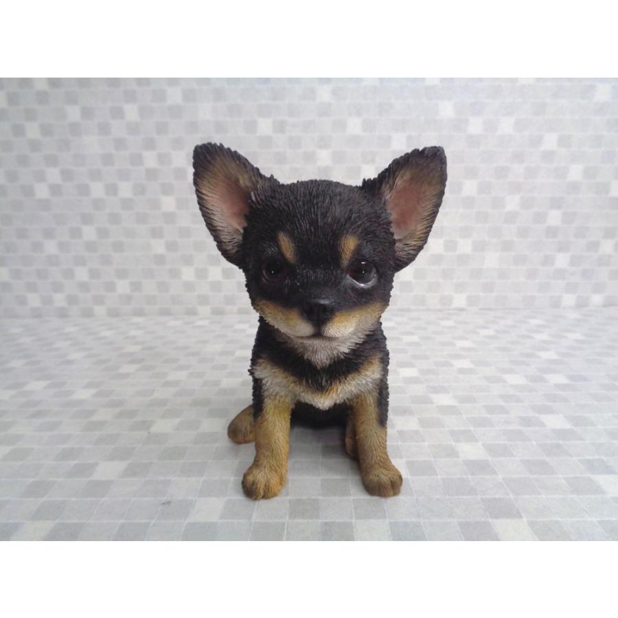 樹脂製 座っている黒と茶色のチワワの子犬 像 置物 ガーデニング 庭 ワケ有り商品 W 22 B E Zipang 通販 Yahoo ショッピング
