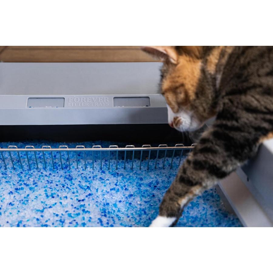 Petsafe スクープフリーマシン 対応 自動トイレ 互換品 繰り返し Petsafe スクープフリーマシン 対応 自動トイレ 互換品 繰り返し