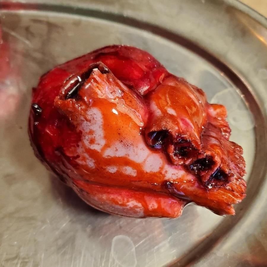 リアル　心臓 Cardio Model E.V.：赤（XC-03T）※アカデミック価格_購入 | 株式会社