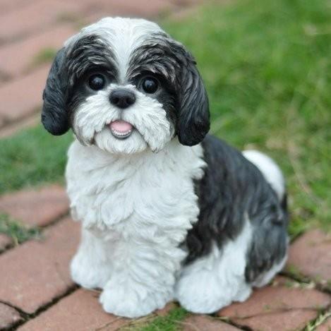 置物 彫像 座っている黒白の シーズー 犬の像 ガーデニング 庭 Dog Shih Tzu ornament statue GD61 : wf-hiln1211 : B&E ZIPANG - 通販 - Yahoo!ショッピング 置物 彫像 座っている黒白の シーズー 犬の像 ガーデニング 庭 Dog Shih Tzu ornament statue GD61 : wf-hiln1211 : B&E ZIPANG - 通販 - Yahoo!ショッピング