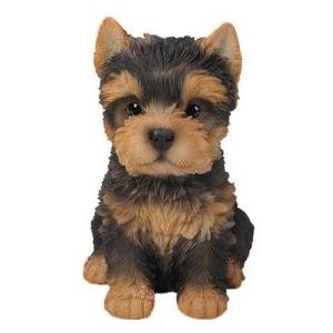 ポリレジン製 ガーデン彫像 座っているヨークシャーテリアの子犬の像
