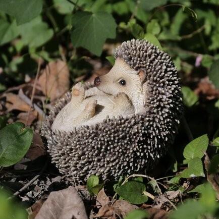 アウトレット ハリネズミ オブジェ 置物 ガーデンオーナメント 動物