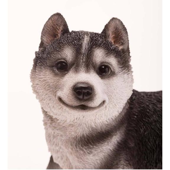 置物 彫像 シベリアンハスキーの子犬 2体セット 犬 子犬 いぬ イヌ ガーデン 庭 オブジェ ガーデニング オブジェ 雑貨 インテリア Siberian Husky_5